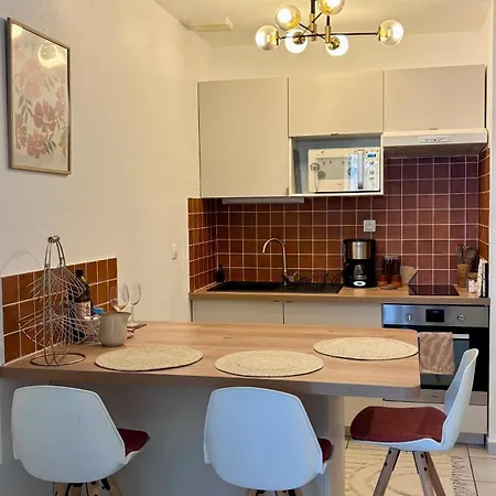 Apartamento Joli Cocon Avec Clim Et Parking Albi